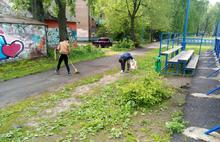 В Ярославле открылись тринадцать площадок для работы подростков