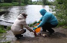 Вода в Дунайке: объект находится в удовлетворительном состоянии