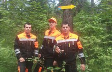 В лесах Ярославской области установят знаки для потерявшихся грибников