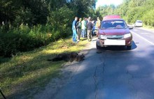 В Рыбинске Ярославской области автомобиль задавил медвежонка