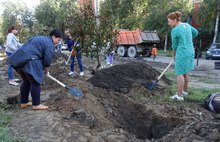 В центре Ярославля в Бутусовском поселке посадили яблоневый сад