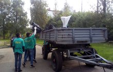 Более тысячи ярославских студентов участвуют в экологической акции «Зеленая Россия»