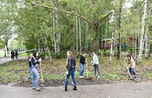 Студенты Ярославского технического университета привели в порядок парк «Нефтяник»