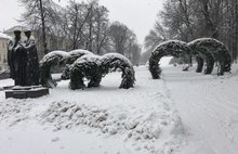 В обновлении Первомайского бульвара в Ярославле поставлена точка: фоторепортаж