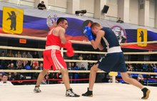 В Ярославле пройдет Всероссийский турнир по боксу