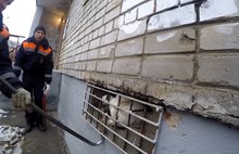 В Ярославле провели операцию по спасению собаки-узника: кадры