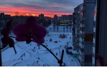 Ярославцы встретили восхитительный морозный рассвет: фоторепортаж 