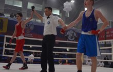 Ярославские боксёры взяли девять медалей на первенстве по боксу: фото