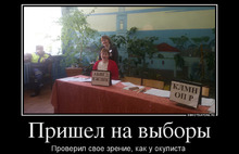 Над чем смеялись в Ярославле в день голосования: главные мемы выборов