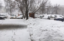 На Ярославль обрушилась снежная буря