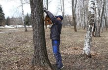 В Волжском парке Рыбинска известный путешественник Федор Конюхов поселил полтора десятка белок 