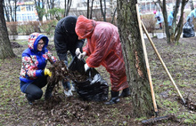 Во время субботника ярославцы ликвидировали более семисот несанкционированных свалок