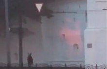 В центре Ярославле по площади Богоявления в тумане по своим делам шел лось