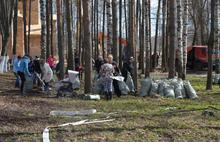 Экологический субботник «Зеленая весна» в Ярославской области: более 12 тысяч участников