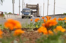 Городские клумбы в Рыбинске украсят 35 000 цветов