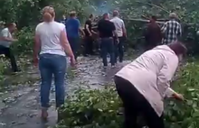 В Ярославской области поваленными стихией деревьями перегородило дорогу: видео