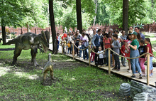 В Ярославле открыли новый парк динозавров: фоторепортаж