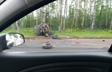 У Лесной поляны под Ярославлем в серьезном ДТП пострадали люди