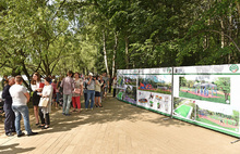 В Ярославле благоустраивают выбранный народным голосованием парк «Нефтяники»