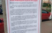 В Ярославле продолжается история с  «недобитками»?