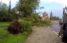 В Ярославле спасатели ликвидируют последствия ураганного ветра