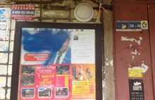  В Ярославле вандалы изуродовали предвыборные плакаты Романа Слонина