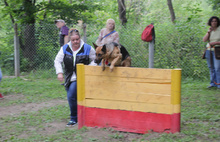 В Ярославле заработала третья по счету площадка для выгула собак
