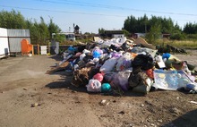 Жители Красноперекопского района Ярославля: «Куда вывозить мусор, домой к депутатам?»