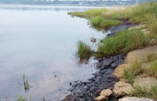 Пятна на поверхности Волги и темный налет на берегу: Ярославской области грозит очередная экологическая катастрофа?