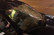 Появилось видео с регистратора автомобиля, сбившего лошадь на Московском проспекте