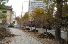 В Рыбинске завершаются работы по благоустройству Карякинского парка