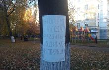 Ярославцы отмечают любимые ямы памятными табличками