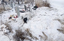 Ярославцы требуют наказать лихачей, повредивших на Осташинском кладбище ограды и памятники