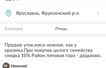 Утки в опасности: в Ярославле неизвестные продают мясо жительниц дядьковских прудов