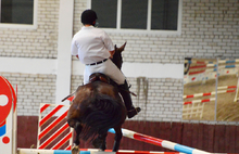 В Ярославле стартовал чемпионат области по конному спорту. Фоторепортаж