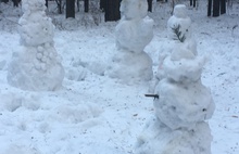 В Ярославле слепили снежную семью