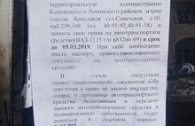 Ярославские власти взялись за «подснежники»