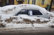 Ярославские власти взялись за «подснежники»