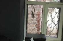Крысы атакуют офис в центре Ярославля: видео