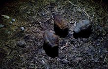 Опасная находка: в Рыбинске на берегу реки обнаружили три гранаты
