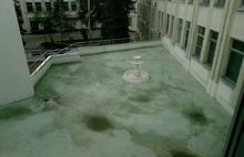 На крыше ярославского правительства установили фонтаны: фото