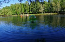 В ярославском парке двухлетнего ребенка в надувном шаре унесло на середину пруда: СКР проводит проверку