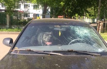 Сутки в закрытой машине: в Ярославле хозяева бросили пса в автомобиле