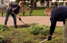 В Ярославле жители вместо мэрии высадили цветы на центральной клумбе