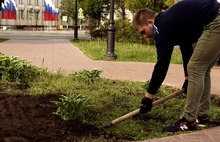 В Ярославле жители вместо мэрии высадили цветы на центральной клумбе