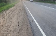 В Ярославской области «Калина» сбила лося: животное погибло, у водителя авто – рваная рана лица