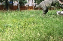 В Ярославле динозавры, «захватившие» парк, зарастают травой и лопухами