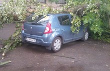 Последствия ливня в Ярославле: деревья упали на «Рено Сандеро» и «Нива Шевроле»