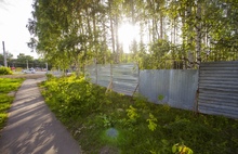 В Ярославской области вместо березовой рощи строят храм: народ против