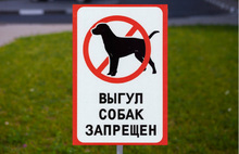 Ярославец через суд пытался бороться с выгулом собак в Павловской роще